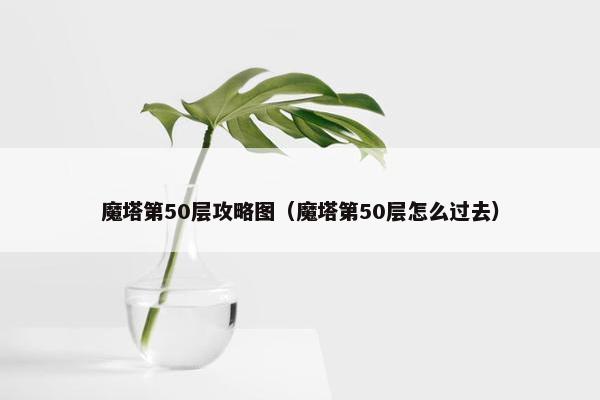 魔塔第50层攻略图（魔塔第50层怎么过去）