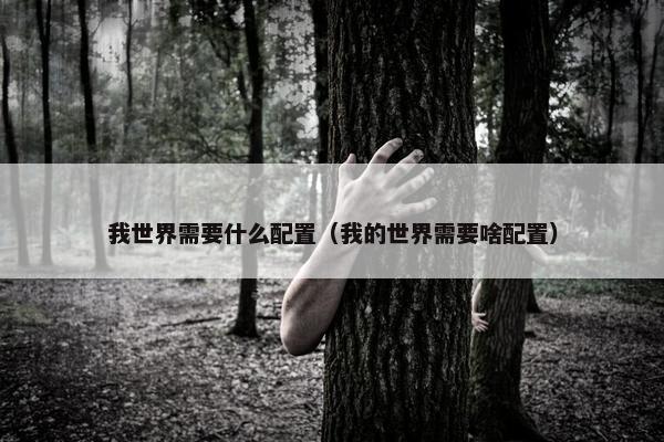 我世界需要什么配置（我的世界需要啥配置）