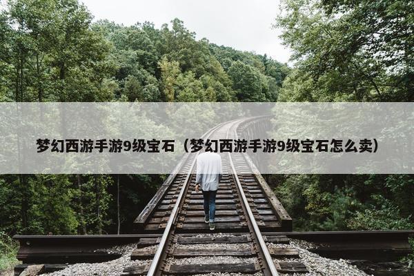 梦幻西游手游9级宝石（梦幻西游手游9级宝石怎么卖）