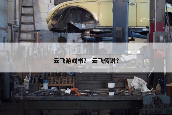 云飞游戏书？ 云飞传说？