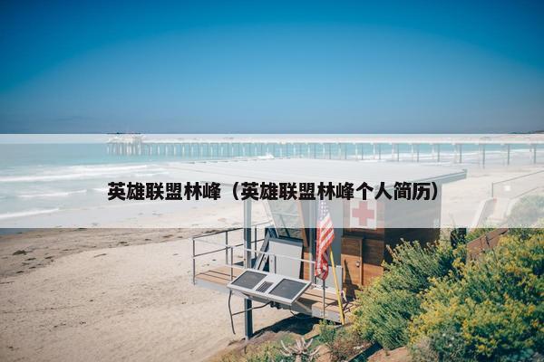 英雄联盟林峰（英雄联盟林峰个人简历）