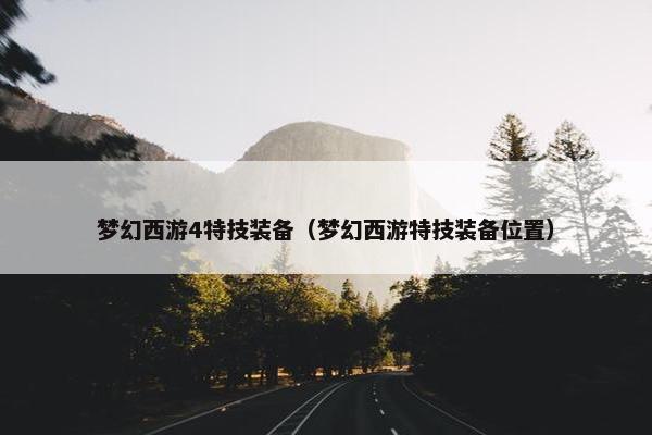 梦幻西游4特技装备（梦幻西游特技装备位置）