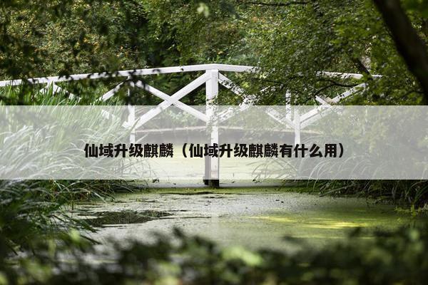 仙域升级麒麟（仙域升级麒麟有什么用）