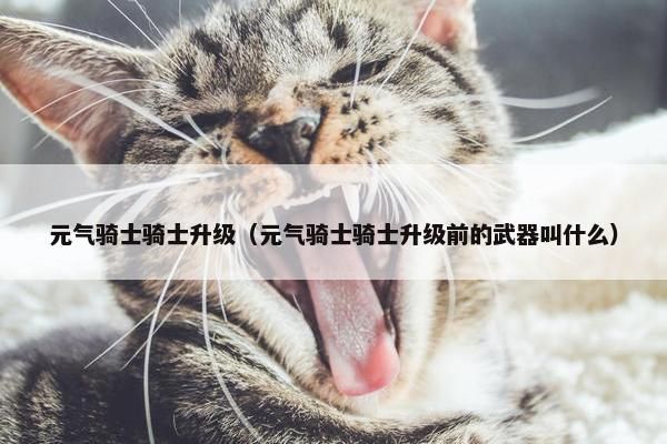 元气骑士骑士升级（元气骑士骑士升级前的武器叫什么）