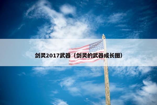 剑灵2017武器（剑灵的武器成长图）