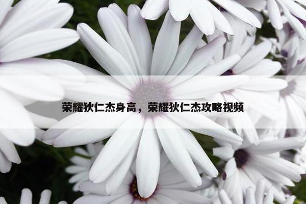 荣耀狄仁杰身高，荣耀狄仁杰攻略视频