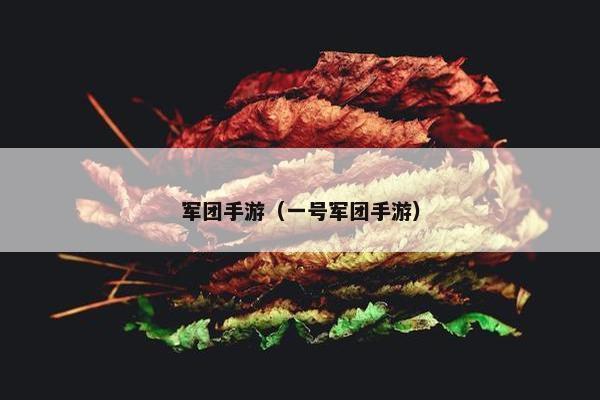 军团手游（一号军团手游）