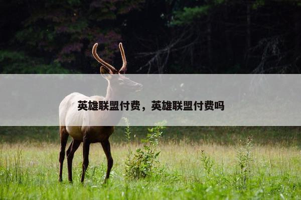 英雄联盟付费，英雄联盟付费吗