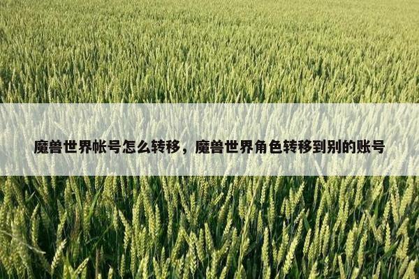 魔兽世界帐号怎么转移，魔兽世界角色转移到别的账号
