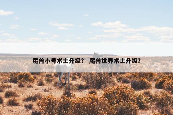 魔兽小号术士升级？ 魔兽世界术士升级？