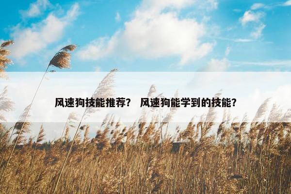 风速狗技能推荐？ 风速狗能学到的技能？