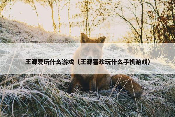王源爱玩什么游戏（王源喜欢玩什么手机游戏）