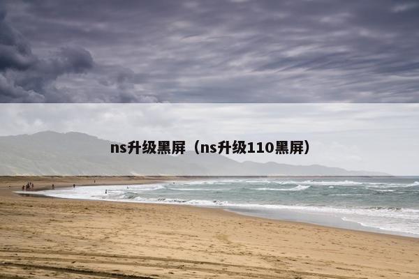 ns升级黑屏（ns升级110黑屏）
