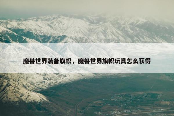 魔兽世界装备旗帜，魔兽世界旗帜玩具怎么获得