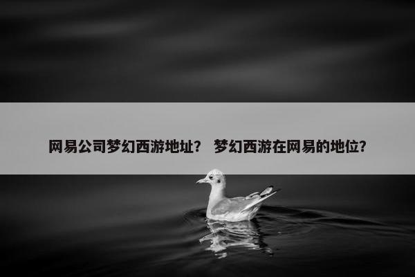 网易公司梦幻西游地址？ 梦幻西游在网易的地位？