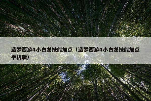 造梦西游4小白龙技能加点（造梦西游4小白龙技能加点手机版）