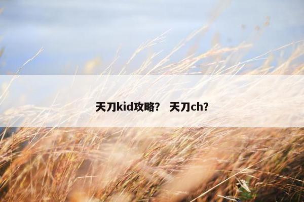 天刀kid攻略？ 天刀ch？