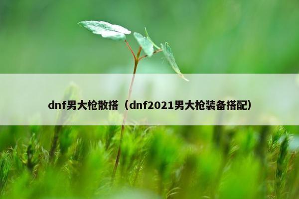 dnf男大枪散搭（dnf2021男大枪装备搭配）