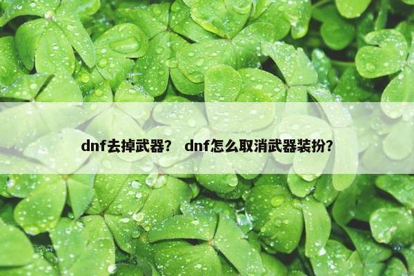 dnf去掉武器？ dnf怎么取消武器装扮？