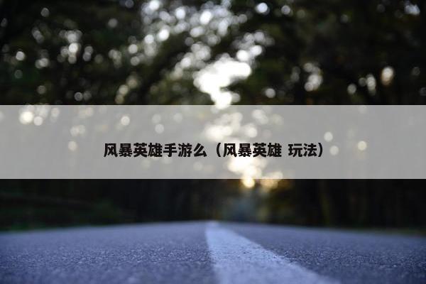 风暴英雄手游么（风暴英雄 玩法）
