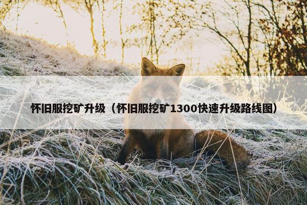 怀旧服挖矿升级（怀旧服挖矿1300快速升级路线图）