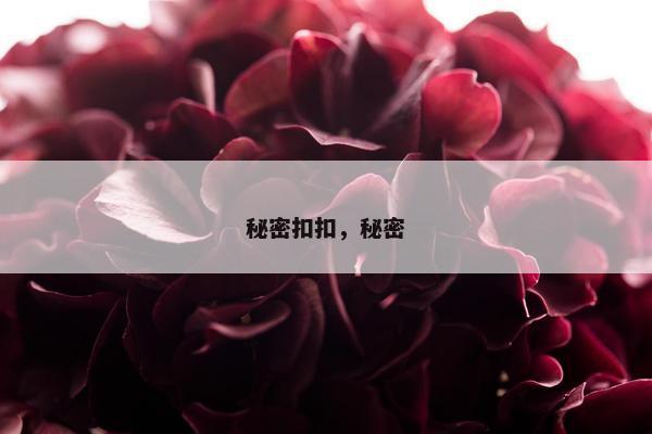 秘密扣扣，秘密