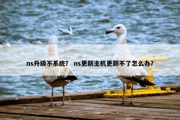 ns升级不系统？ ns更新主机更新不了怎么办？