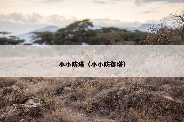 小小防塔（小小防御塔）