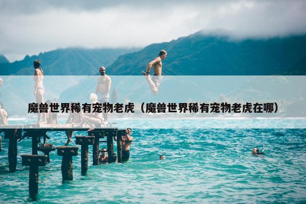 魔兽世界稀有宠物老虎（魔兽世界稀有宠物老虎在哪）