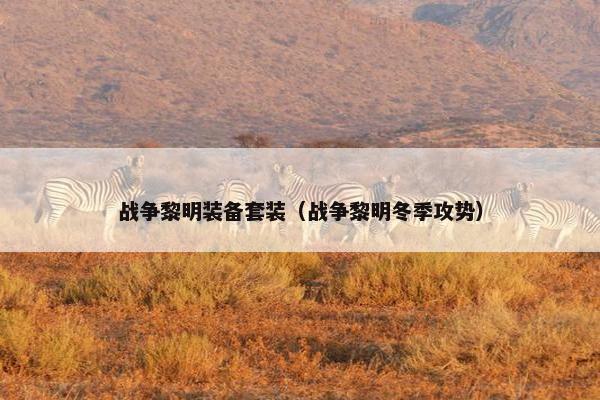 战争黎明装备套装（战争黎明冬季攻势）