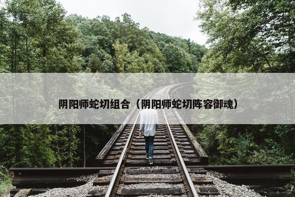 阴阳师蛇切组合（阴阳师蛇切阵容御魂）