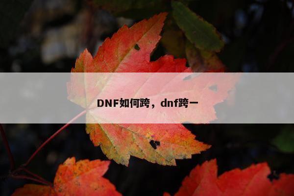 DNF如何跨，dnf跨一