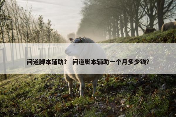 问道脚本辅助？ 问道脚本辅助一个月多少钱？