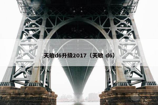 天敏d6升级2017（天敏 d6）