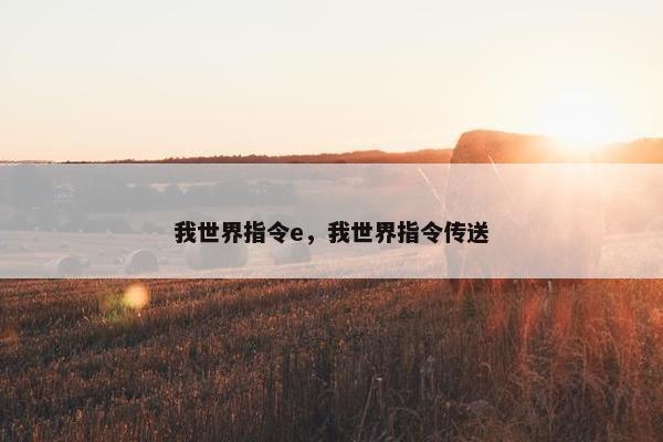我世界指令e，我世界指令传送