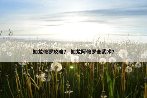 如龙修罗攻略？ 如龙阿修罗全武术？