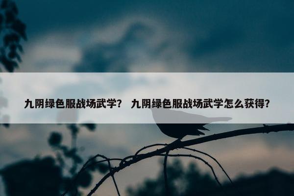 九阴绿色服战场武学？ 九阴绿色服战场武学怎么获得？
