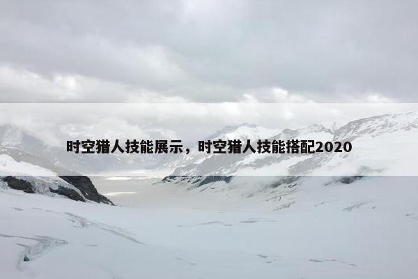 时空猎人技能展示，时空猎人技能搭配2020