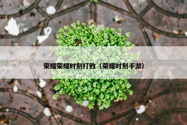 荣耀荣耀时刻打败（荣耀时刻手游）