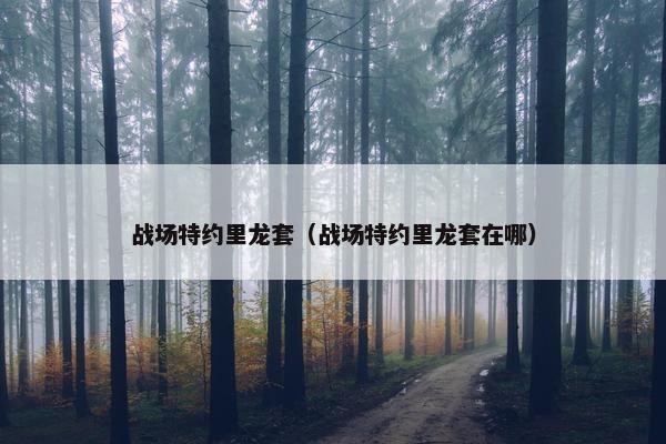 战场特约里龙套（战场特约里龙套在哪）