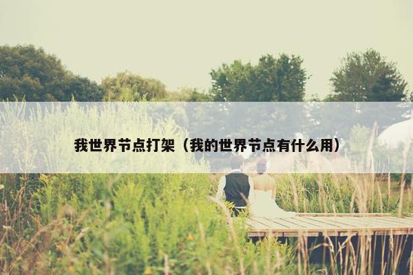 我世界节点打架（我的世界节点有什么用）