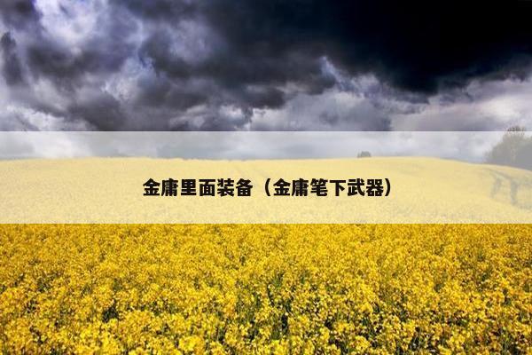 金庸里面装备（金庸笔下武器）