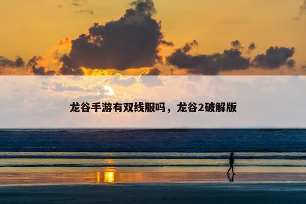 龙谷手游有双线服吗，龙谷2破解版