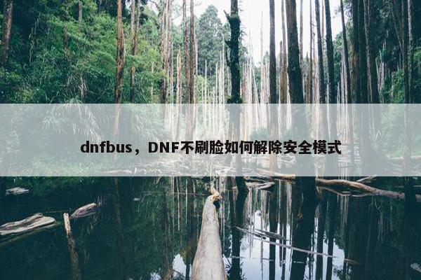 dnfbus，DNF不刷脸如何解除安全模式