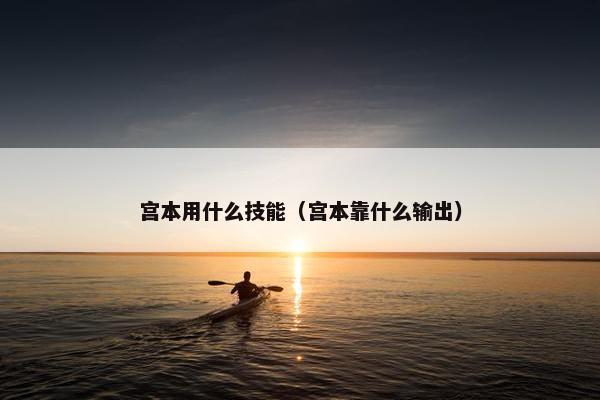 宫本用什么技能（宫本靠什么输出）