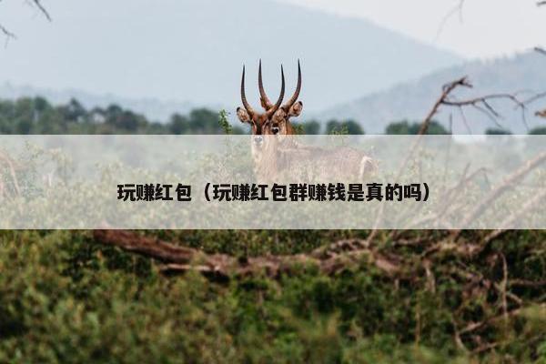 玩赚红包（玩赚红包群赚钱是真的吗）