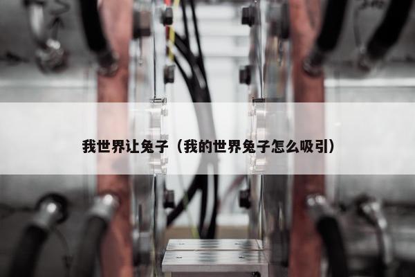 我世界让兔子（我的世界兔子怎么吸引）