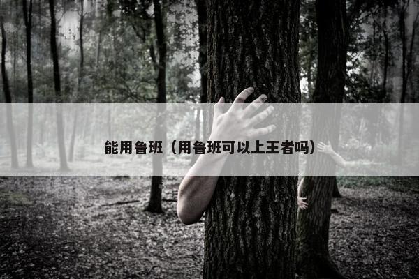 能用鲁班（用鲁班可以上王者吗）