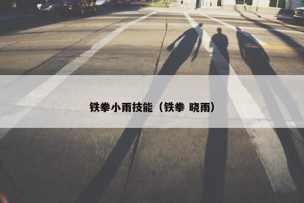 铁拳小雨技能（铁拳 晓雨）