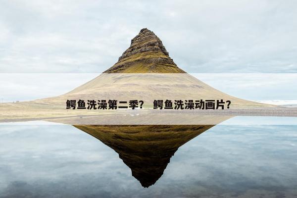 鳄鱼洗澡第二季？ 鳄鱼洗澡动画片？